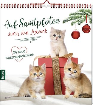 Auf Samtpfoten durch den Advent