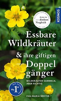 Essbare Wildkräuter und ihre giftigen Doppelgänger