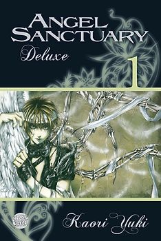 Angel Sanctuary Deluxe 1