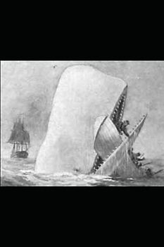 Moby Dick