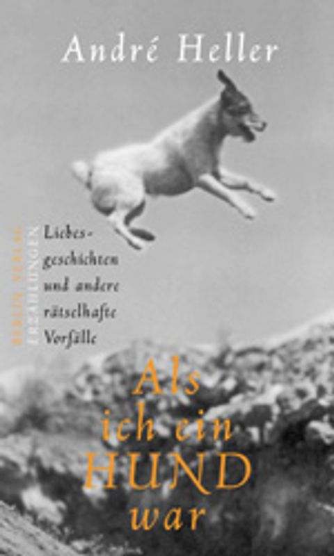 Als ich ein Hund war