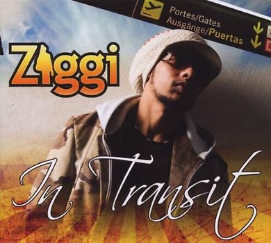 Ziggi - In Transit