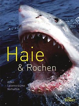 Haie & Rochen