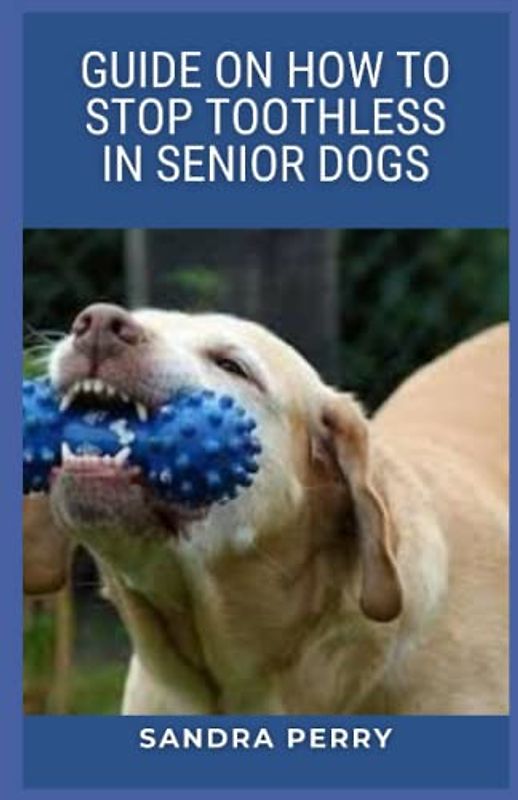 Guide On How to Stop Toothless In Senior Dogs: Old dogs lose their teeth due to poor oral hygiene and dental disease.