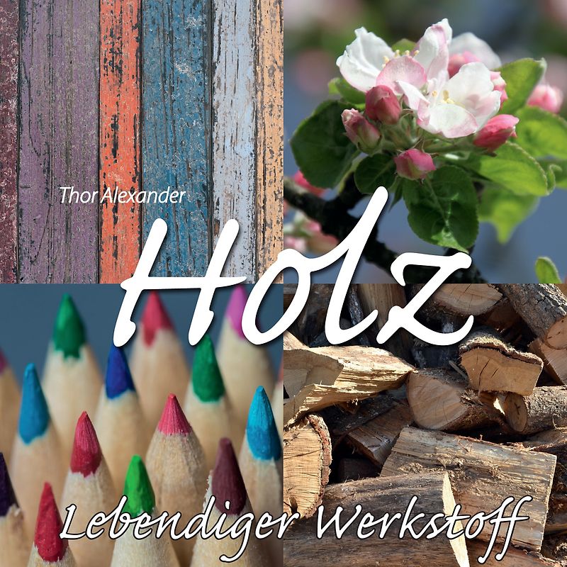 HOLZ - Lebendiger Werkstoff