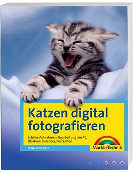 Katzen digital fotografieren