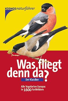 Was fliegt denn da?