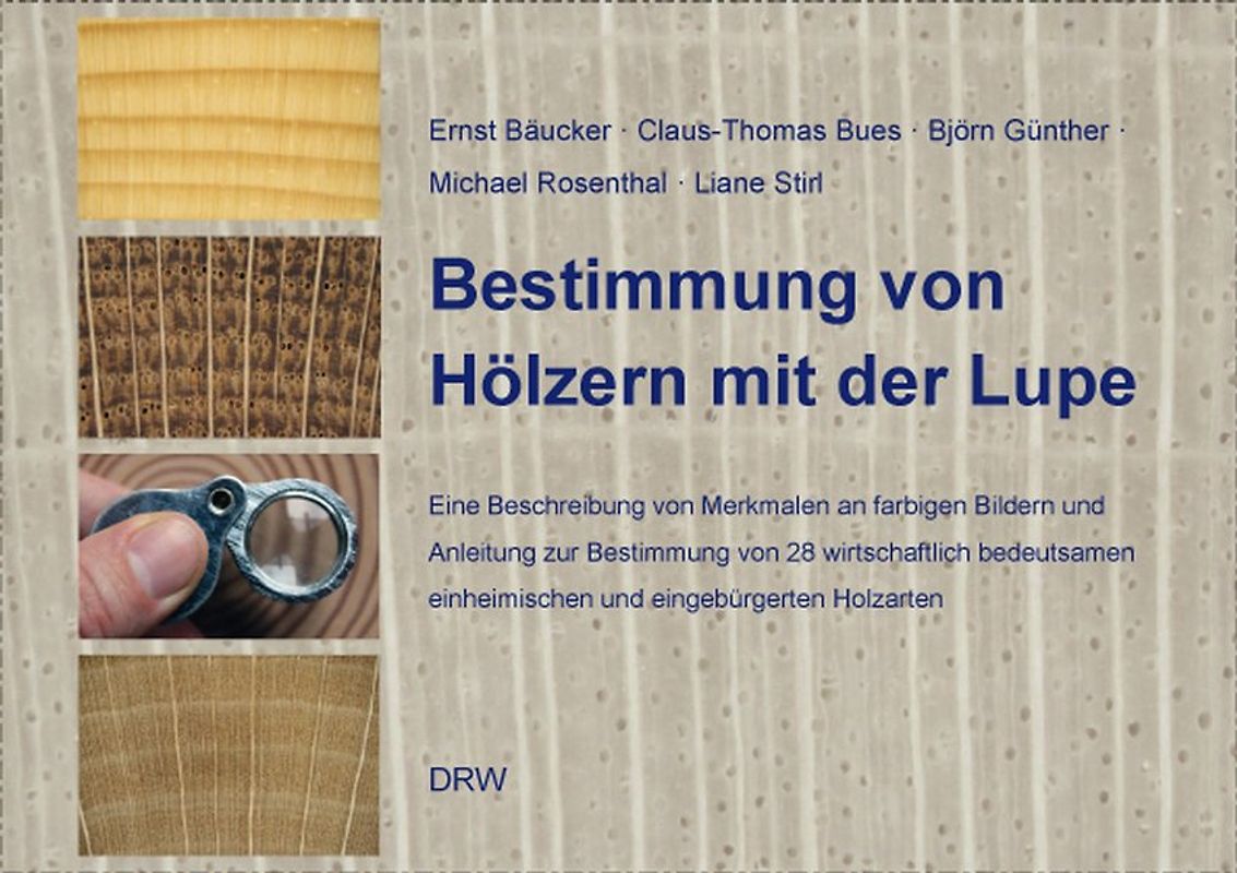 Bestimmung von Hölzern mit der Lupe