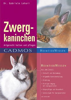 Zwergkaninchen