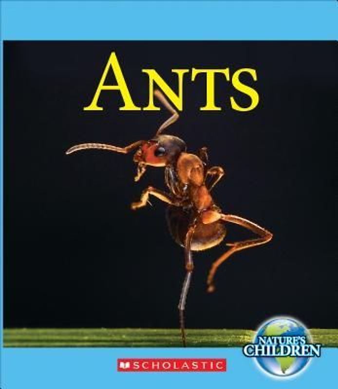 Ants