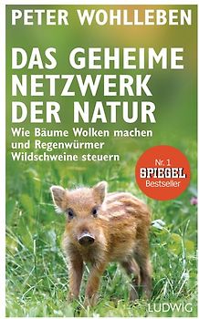 Das geheime Netzwerk der Natur