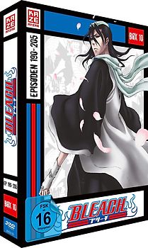 Bleach - TV Serie - Vol. 10 - [3 DVDs] DVD