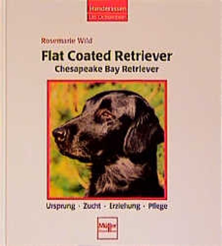 Flat Coated Retriever /Chesapeake Bay Retriever. Ursprung - Aufzucht - Erziehung - Pflege