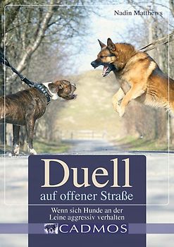 Duell auf offener Straße