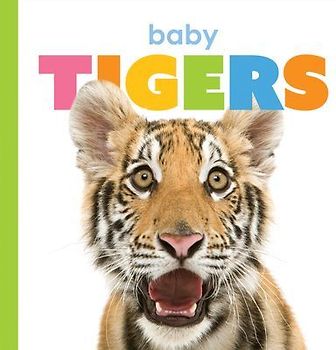 Baby Tigers