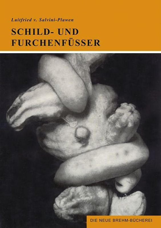 Schild- und Furchenfüsser