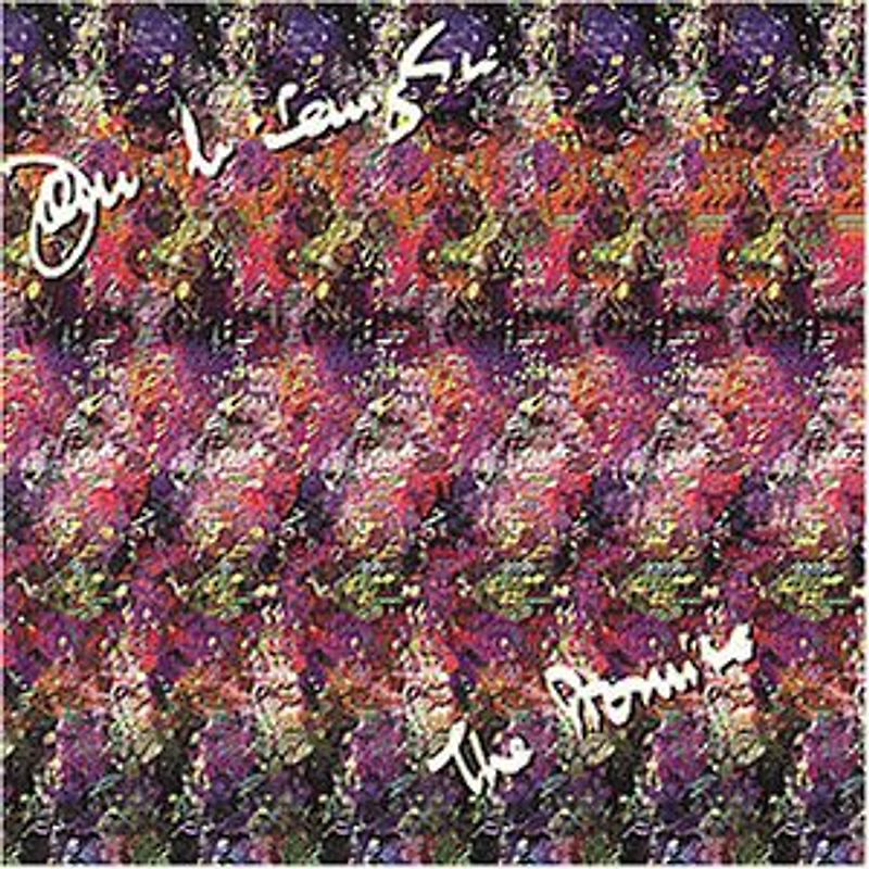 John Mclaughlin - The Promise