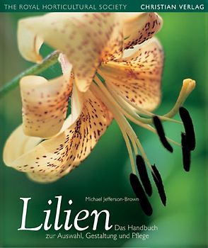 Lilien