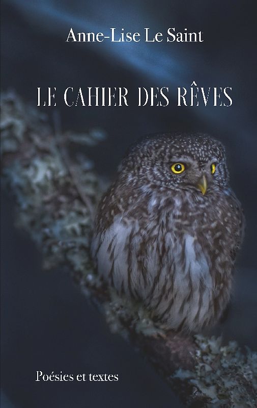 Le cahier des rêves