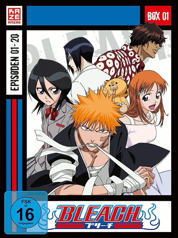 Bleach - Gesamtausgabe [3 DVDs] DVD