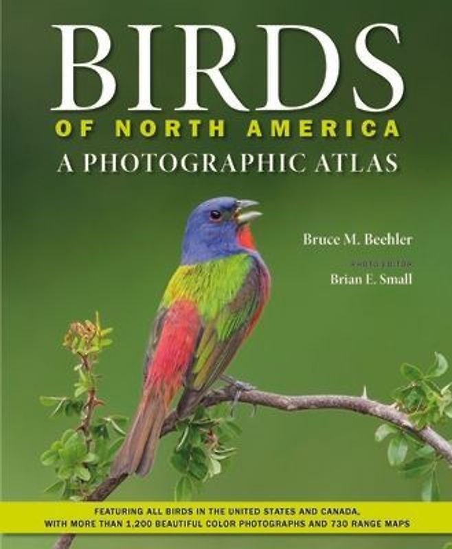 Birds of North America