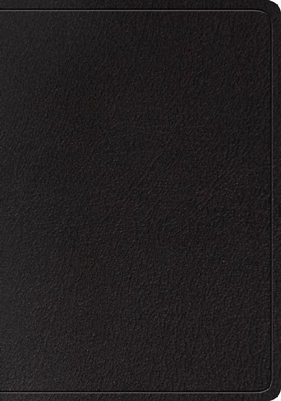 ESV Large Print Wide Margin Bible (Black)