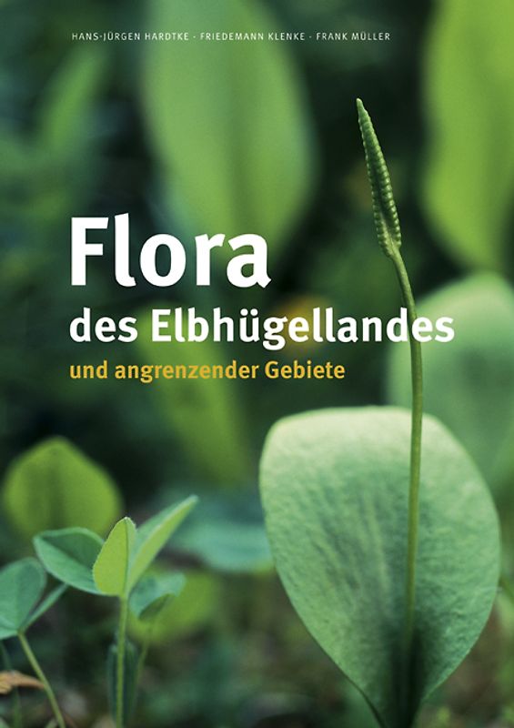 Flora des Elbhügellandes und angrenzender Gebiete