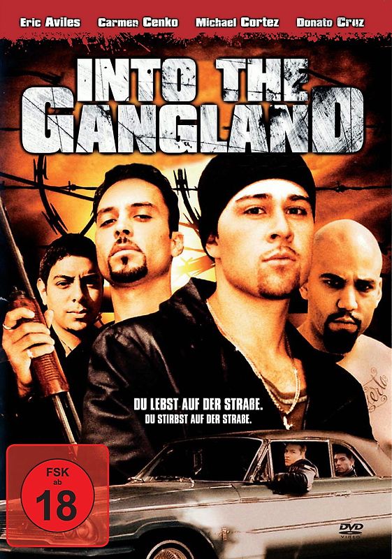 Into the Gangland DVD