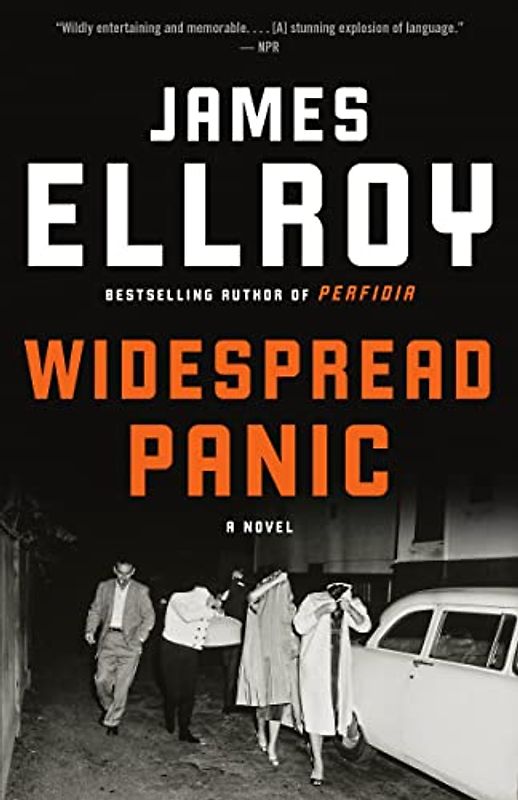Widespread Panic: A novel