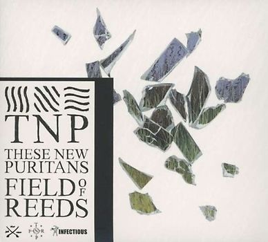 These New Puritans - Field of Reeds