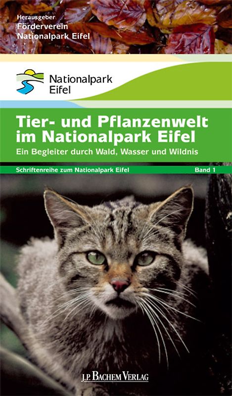 Tier- und Pflanzenwelt im Nationalpark Eifel