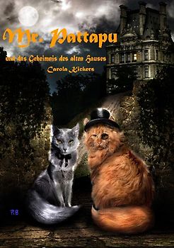 Mr.Pattapu und das Geheimnis des alten Hauses: Katzenkrimi