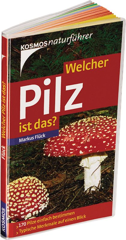 Welcher Pilz ist das?