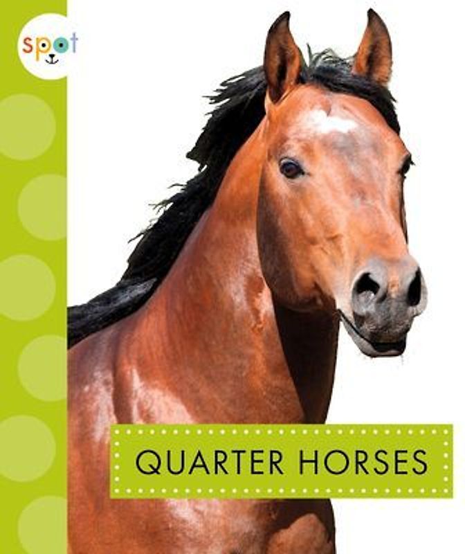 Quarter Horses