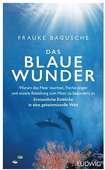 Das blaue Wunder