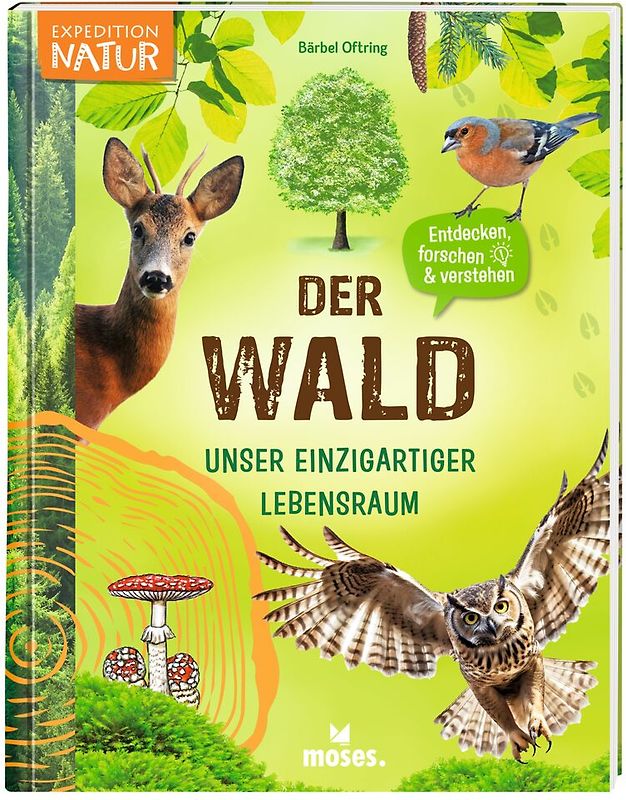Der Wald