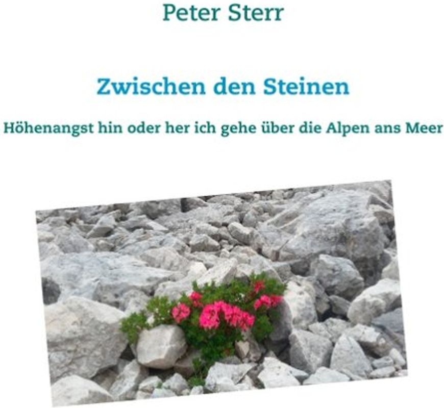 Zwischen den Steinen