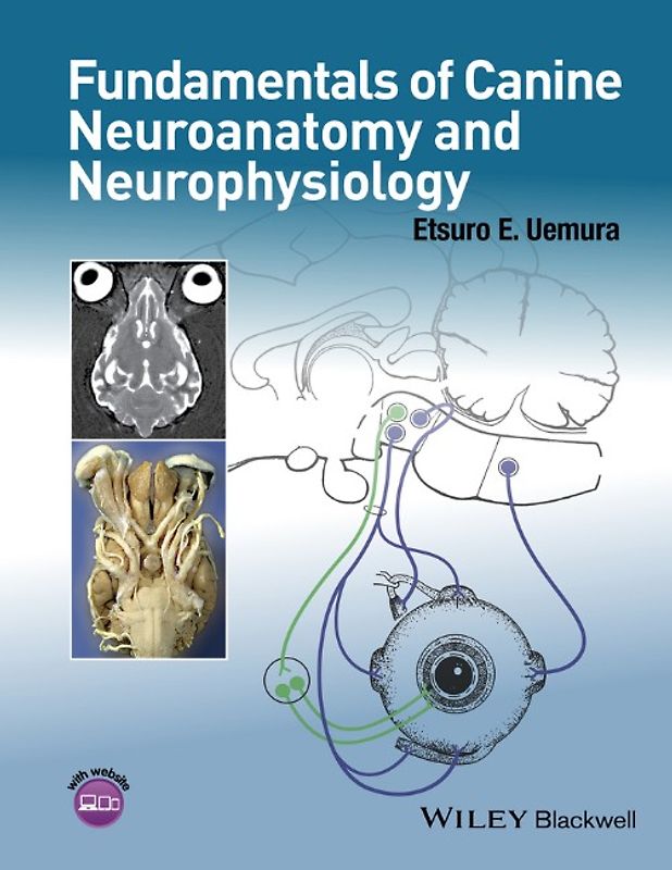 Fundamentals of Canine Neuroanatomy and Neurophysiology