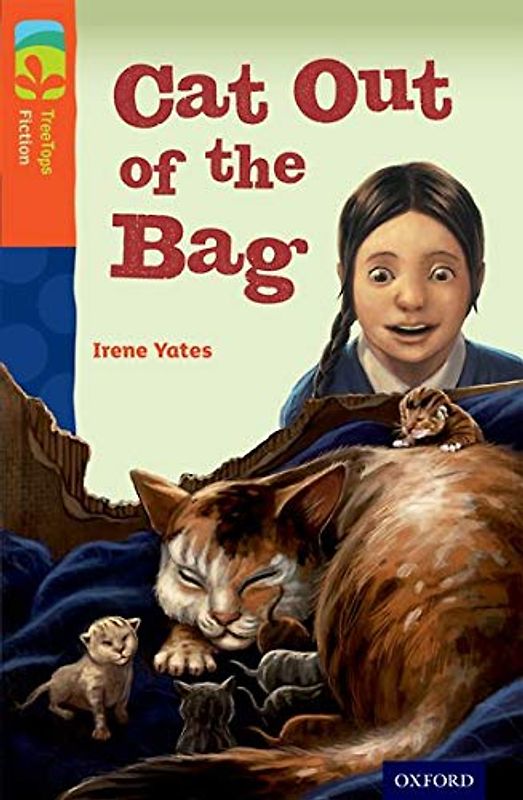 Oxford Reading Tree TreeTops Fiction: Level 13 More Pack B: Cat Out of the Bag