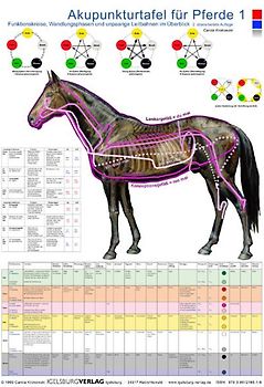 Akupunkturtafel für Pferde 1 + 2