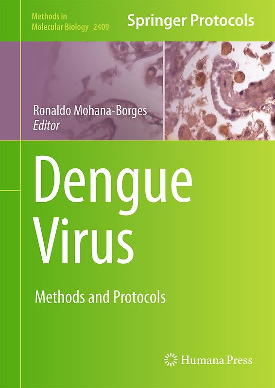 Dengue Virus