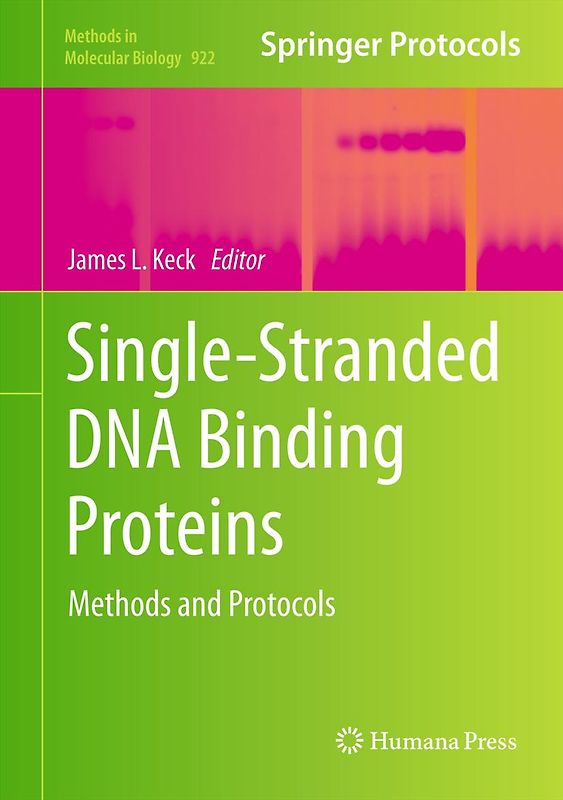 Single-Stranded DNA Binding Proteins