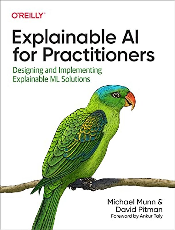 Explainable AI for Practitioners