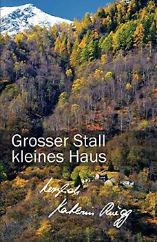 Grosser Stall, kleines Haus: Sechstes Tessiner Tagebuch (Die Tessiner Tagebücher von Kathrin Rüegg, Band 6)