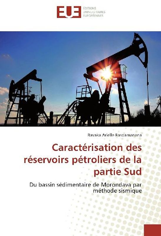 Caractérisation des réservoirs pétroliers de la partie Sud