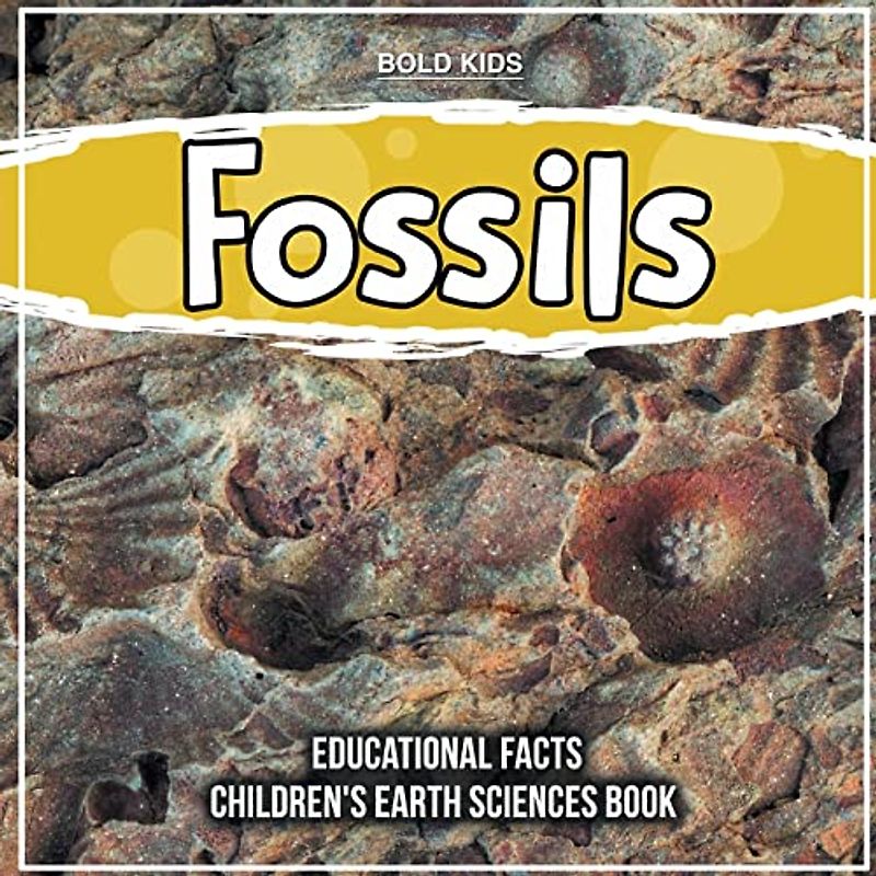 Fossils | 4th Grade Educational Facts