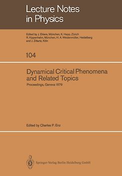 Dynamical Critical Phenomena and Related Topics