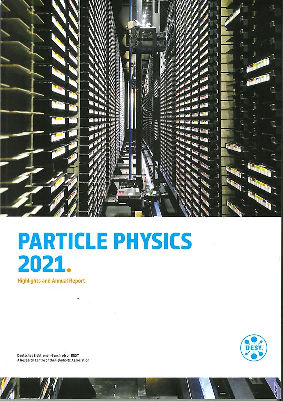 Particle Physics 2021