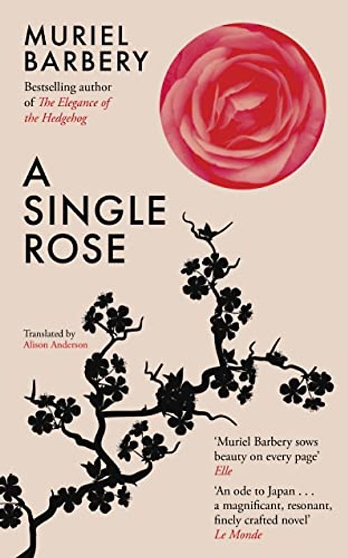 A Single Rose