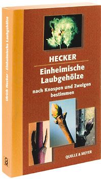 Einheimische Laubgehölze nach Knospen und Zweigen bestimmen